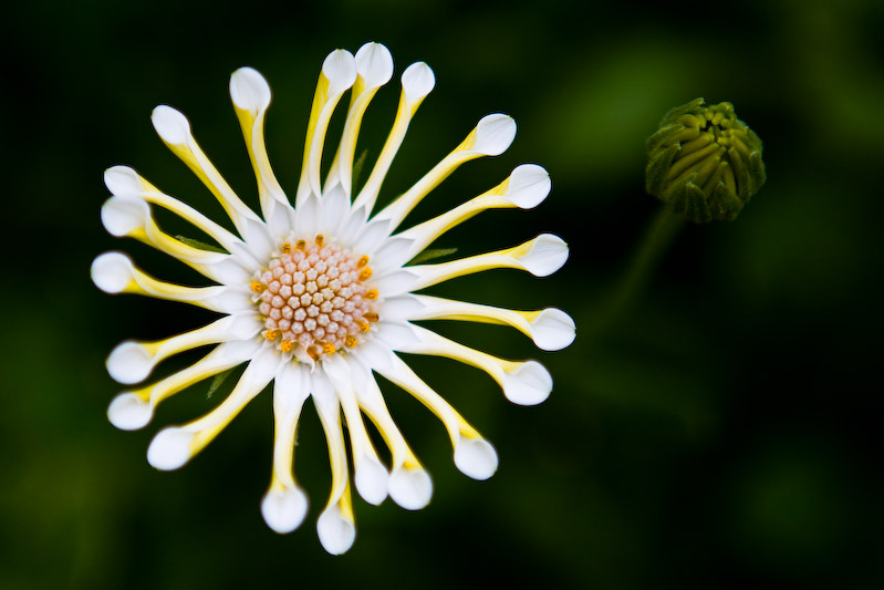 1/500 sec at f / 2.8 70 mm ISO 100