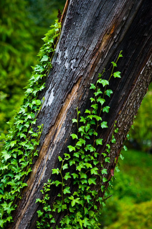 1/125 sec at f / 2.8 70 mm ISO 100