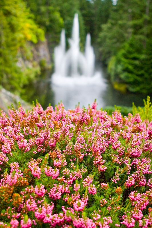 1/250 sec at f / 2.8 25 mm ISO 100