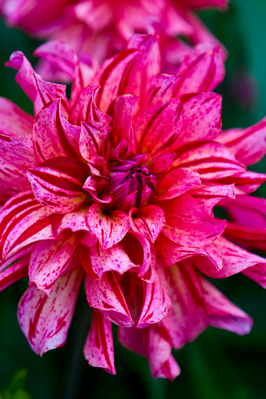 1/160 sec at f / 2.8 70 mm ISO 100