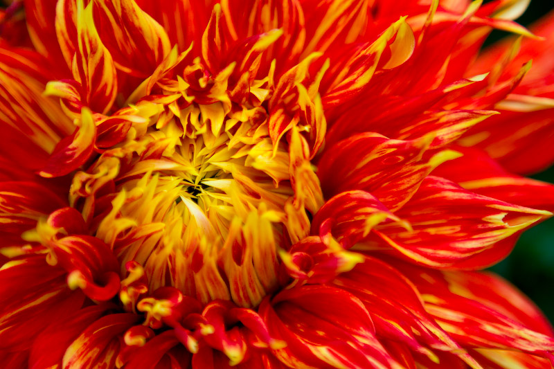 1/200 sec at f / 2.8 70 mm ISO 100