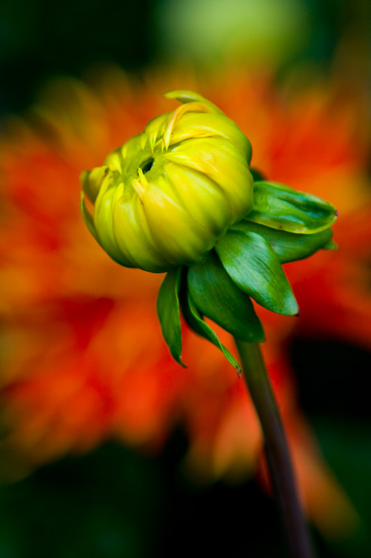 1/250 sec at f / 2.8 70 mm ISO 100