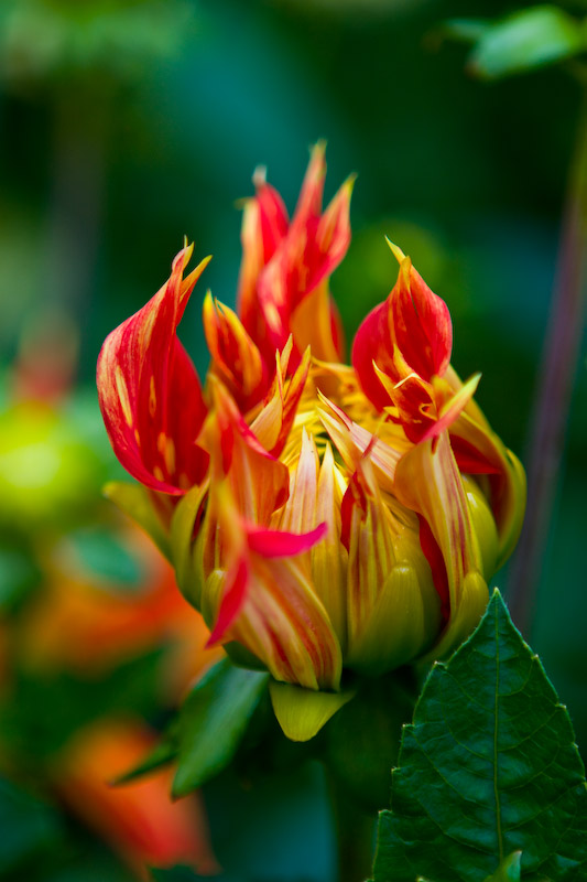 1/125 sec at f / 2.8 70 mm ISO 100