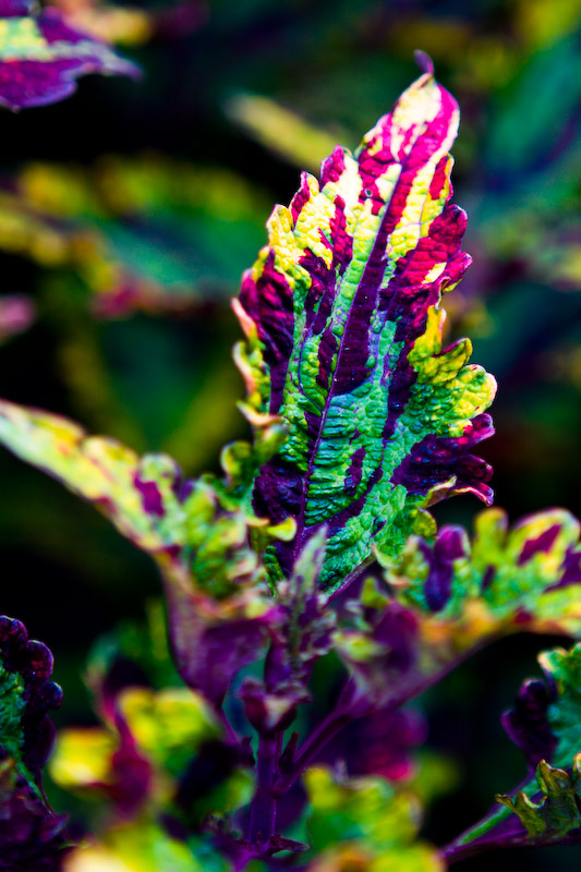 1/80 sec at f / 2.8 70 mm ISO 100