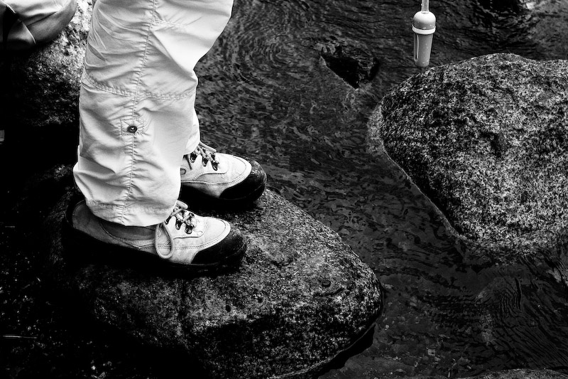 1/250 sec at f / 6.7 50 mm ISO 400