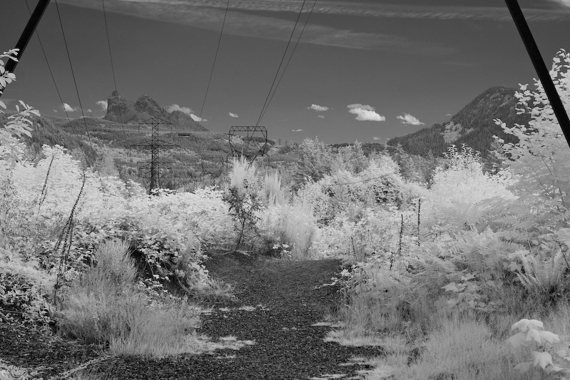 1/250 sec at f / 8.0 50 mm ISO 100