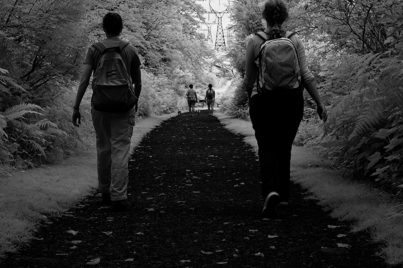 1/125 sec at f / 8.0 50 mm ISO 100