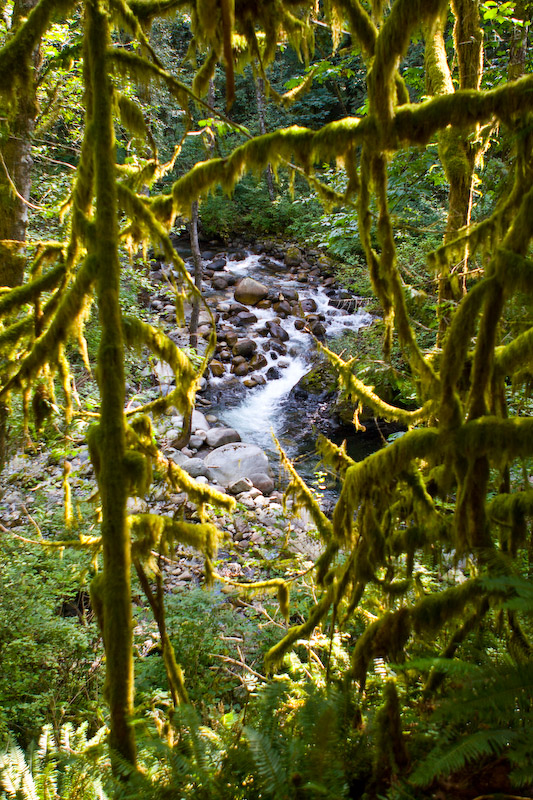 1/100 sec at f / 2.8 24 mm ISO 100