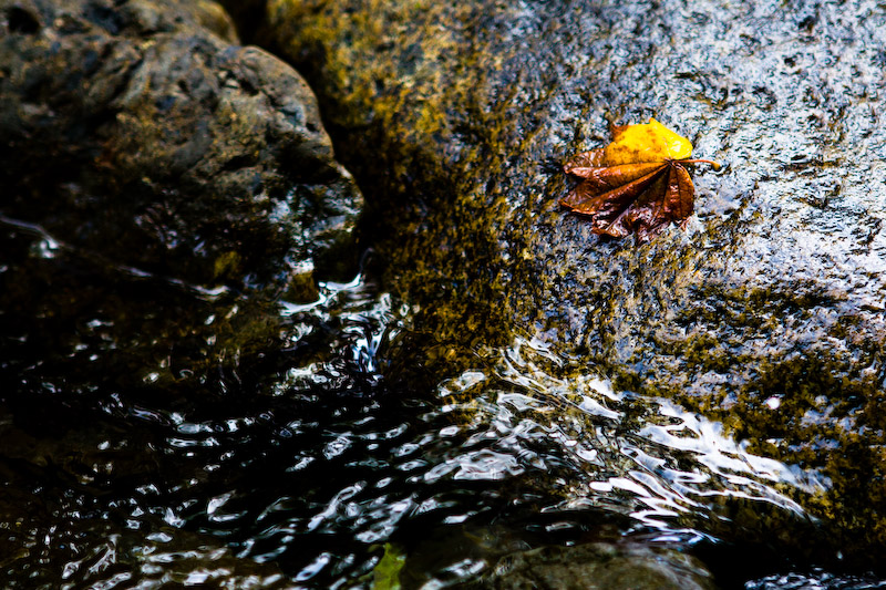 1/320 sec at f / 2.8 70 mm ISO 400