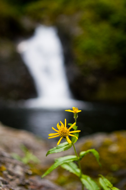 1/200 sec at f / 2.8 34 mm ISO 100