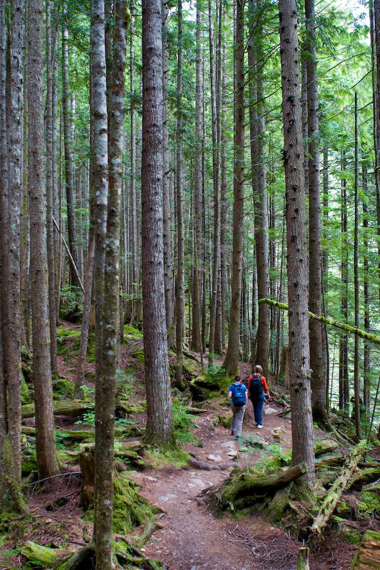 1/60 sec at f / 2.8 24 mm ISO 400