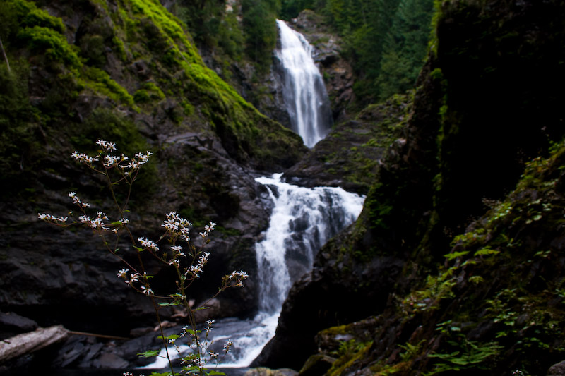 1/50 sec at f / 8.0 18 mm ISO 100